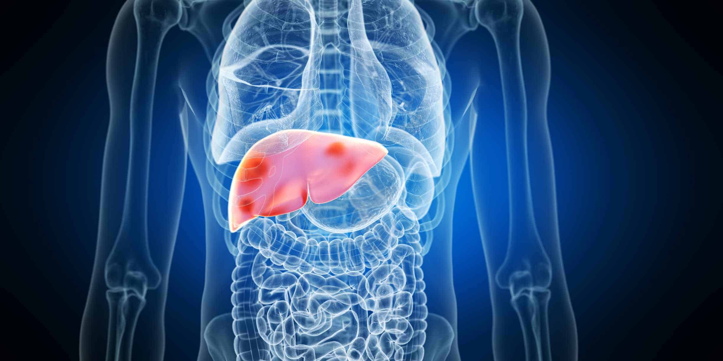 Best Supplements for Liver Detox: Top 5 Liver Detox Brands