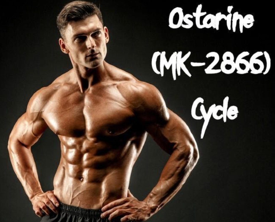 What Effects Does Ostarine Use Have?