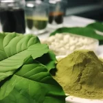 Why This Particular Kratom Strain is Gaining Popularity